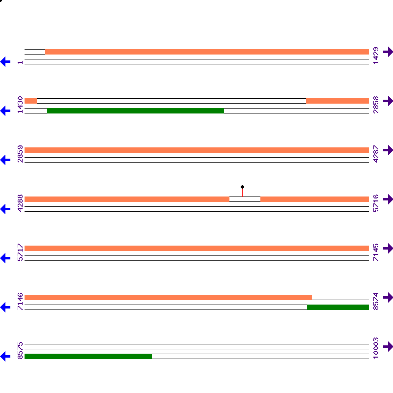 Genome View