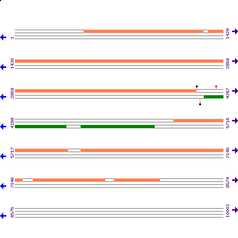 Genome View