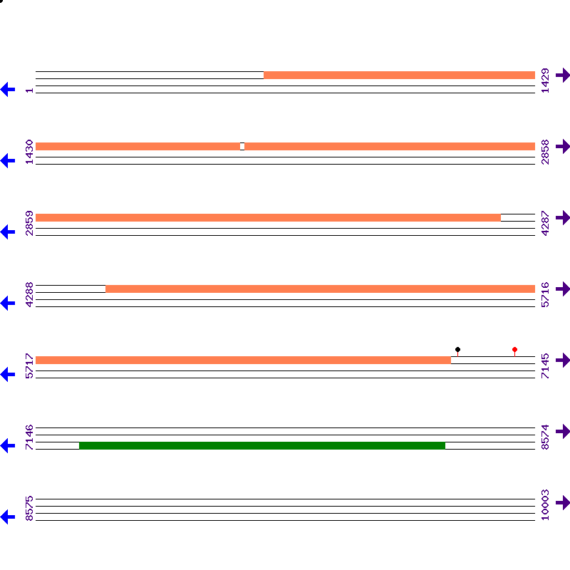 Genome View