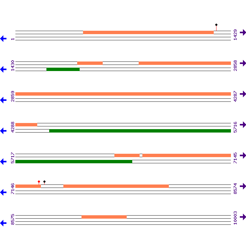 Genome View