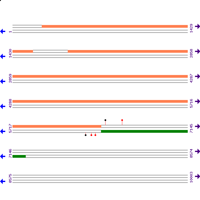 Genome View