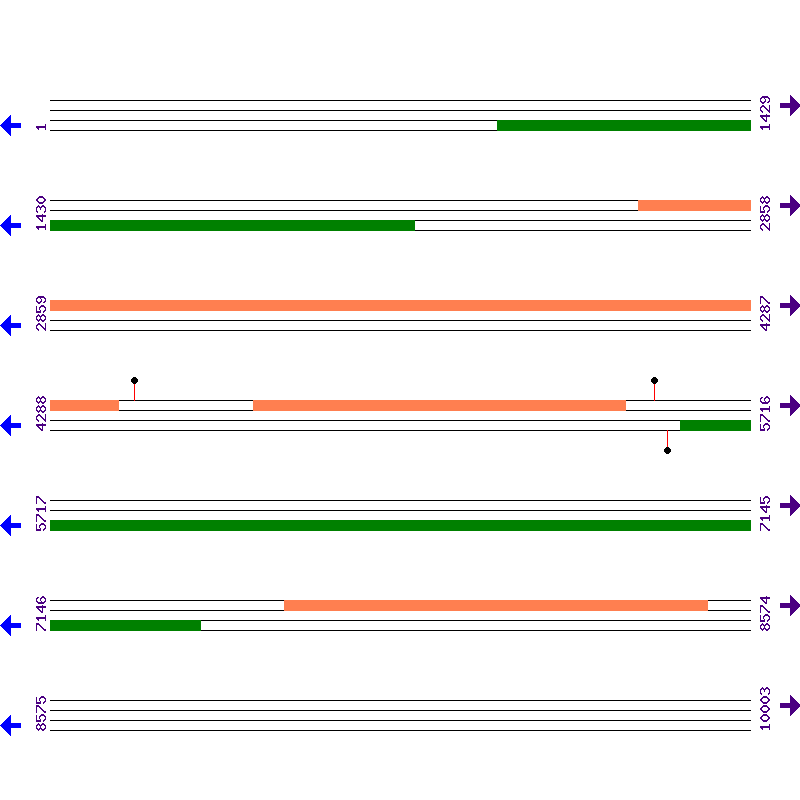 Genome View
