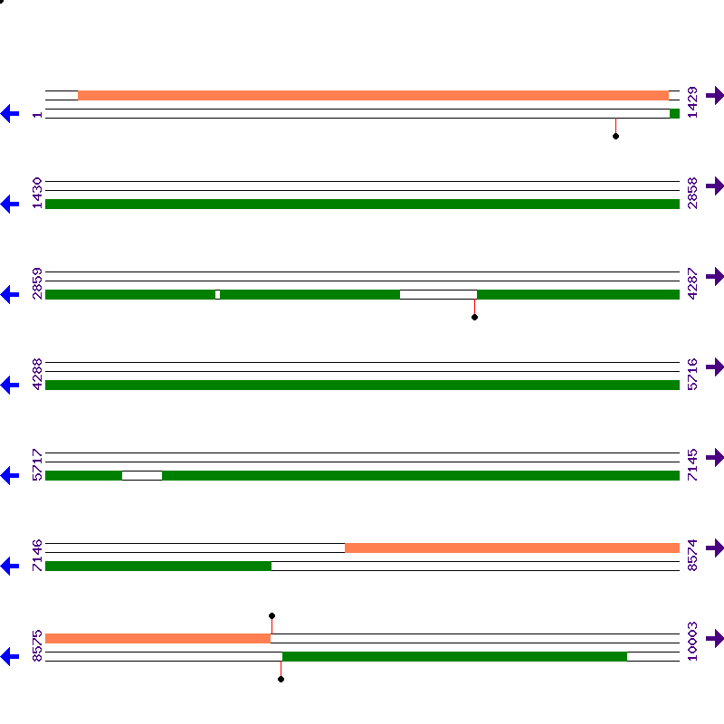 Genome View