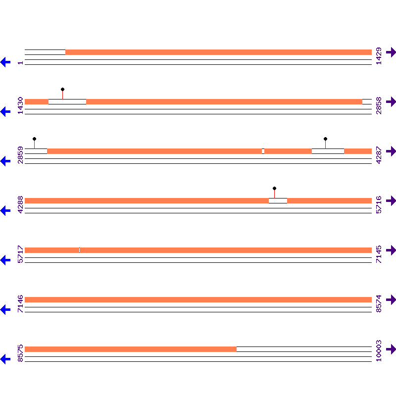 Genome View