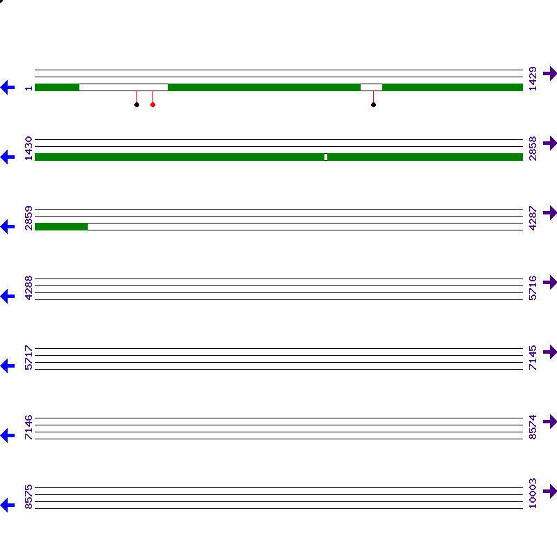 Genome View