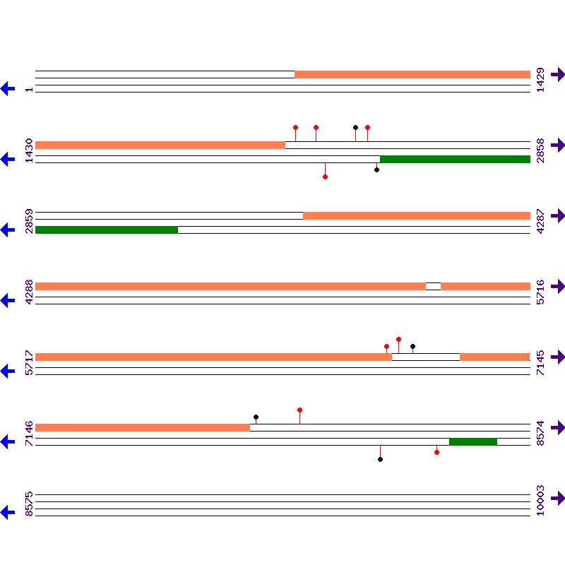 Genome View