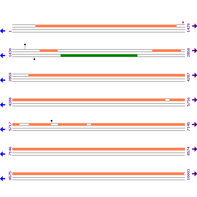 Genome View
