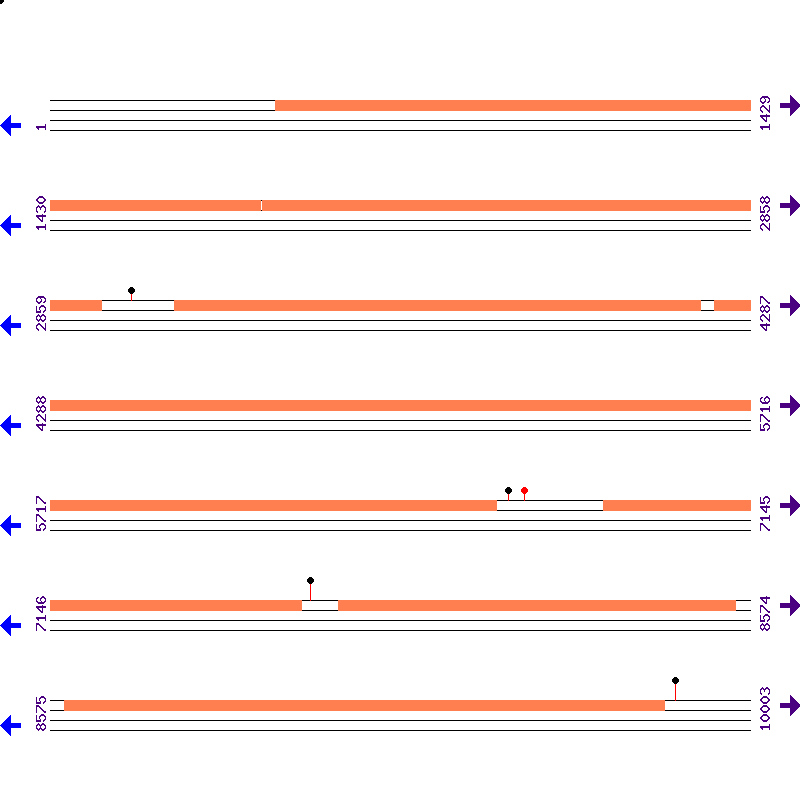 Genome View