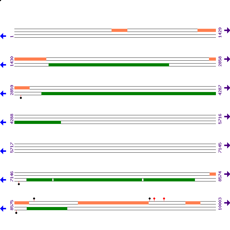 Genome View