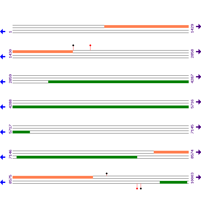 Genome View