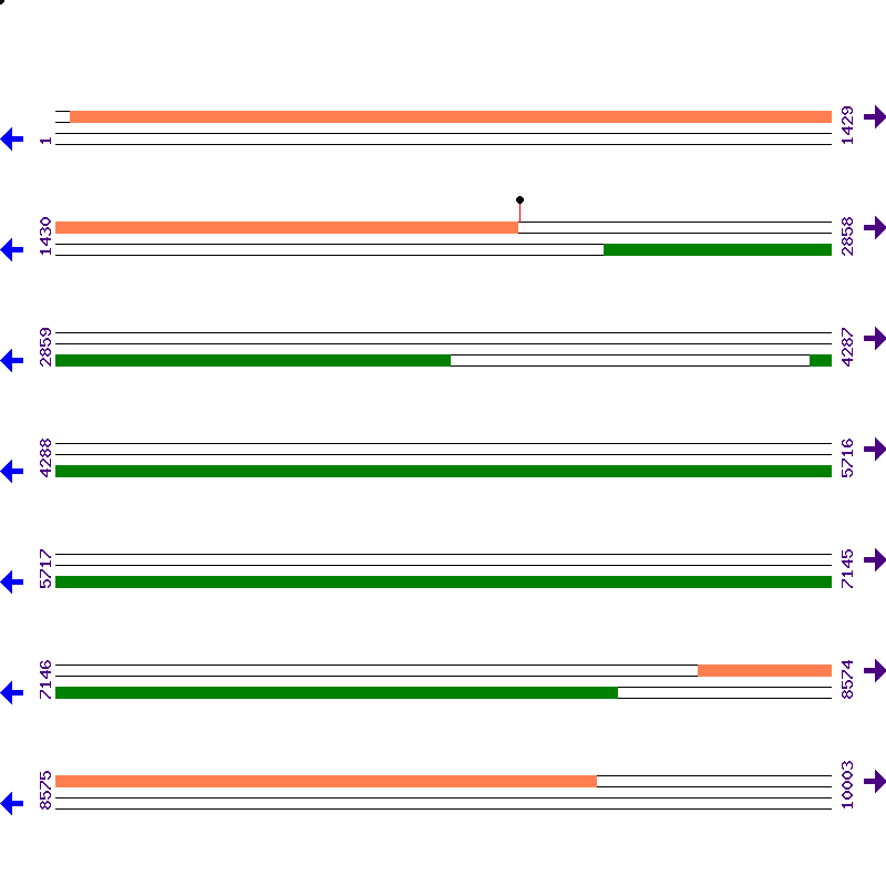Genome View
