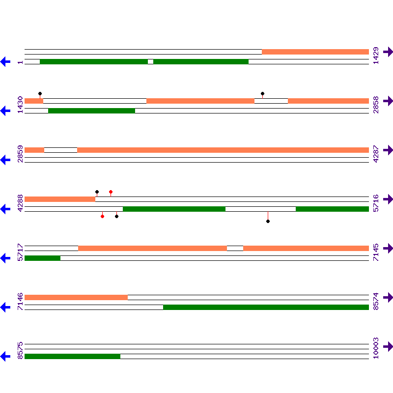 Genome View