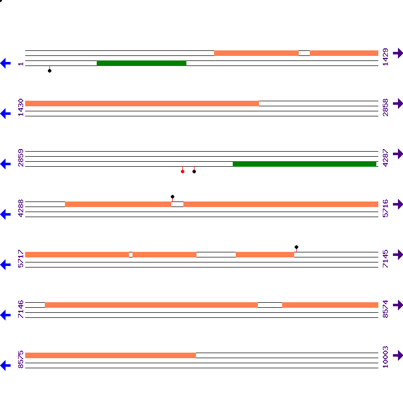 Genome View