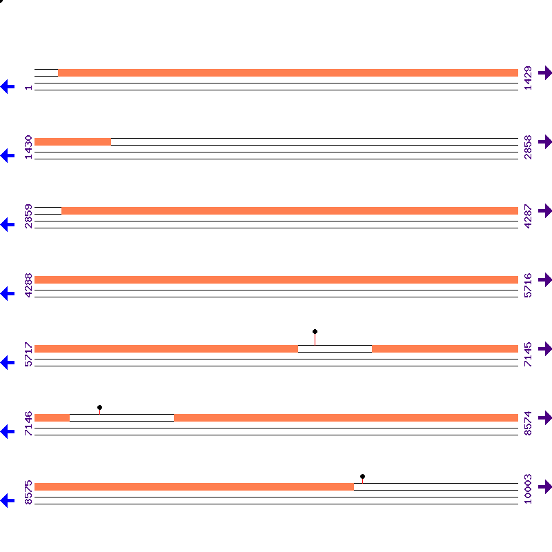 Genome View