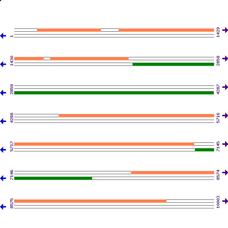Genome View