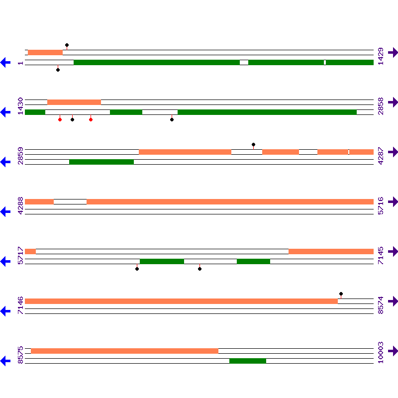 Genome View