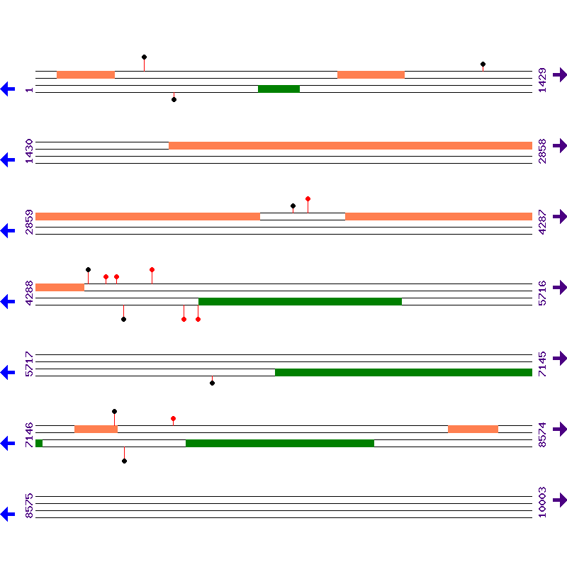 Genome View