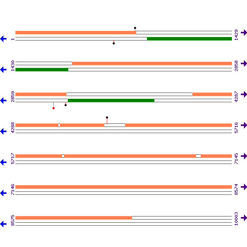 Genome View