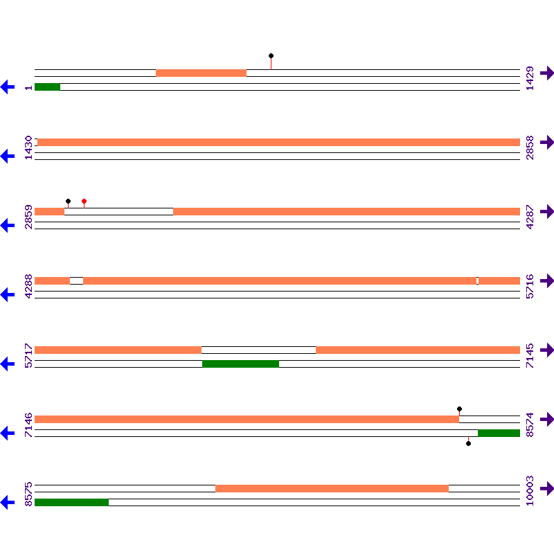 Genome View
