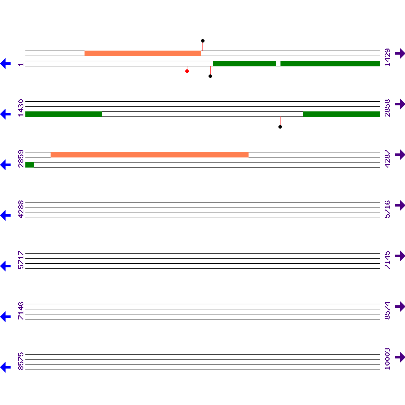 Genome View