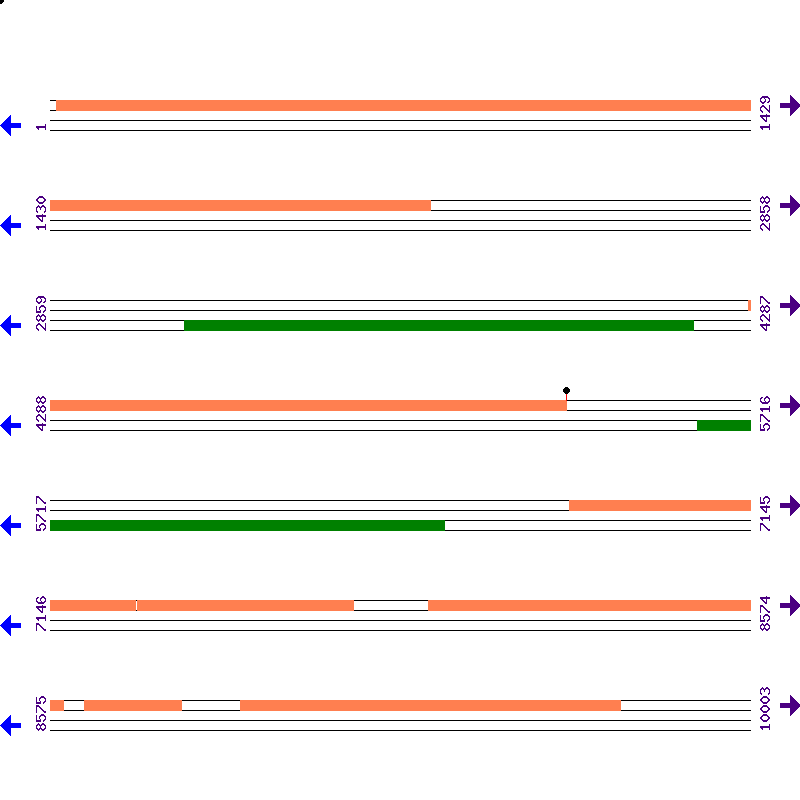 Genome View