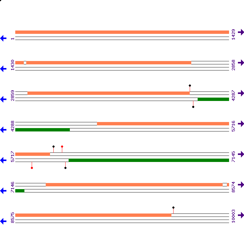 Genome View