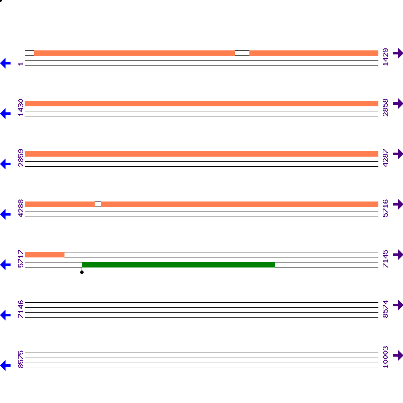 Genome View