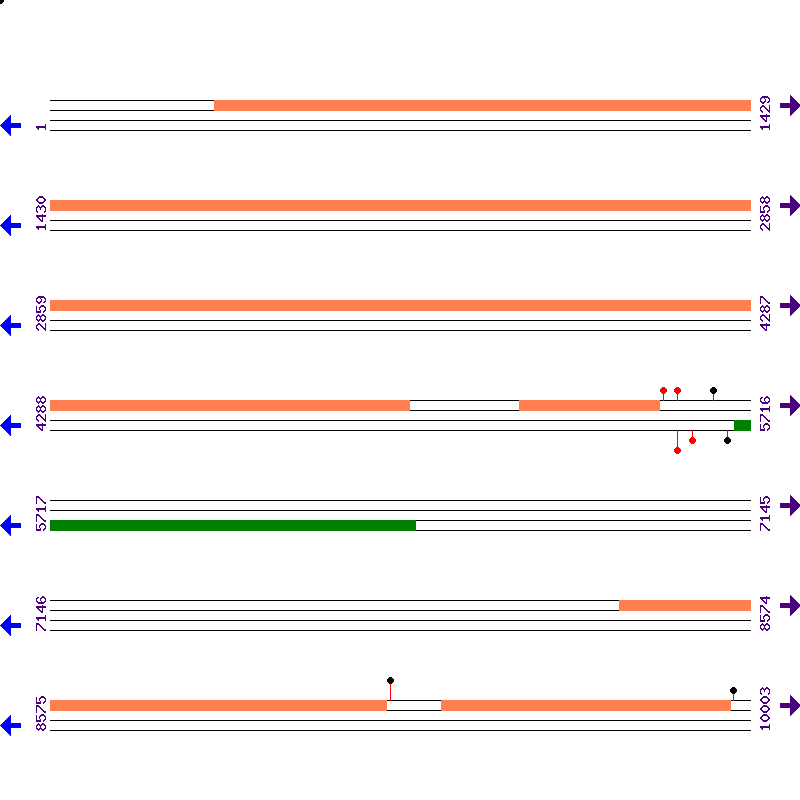 Genome View