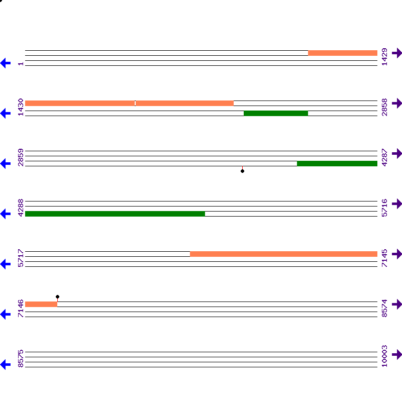 Genome View