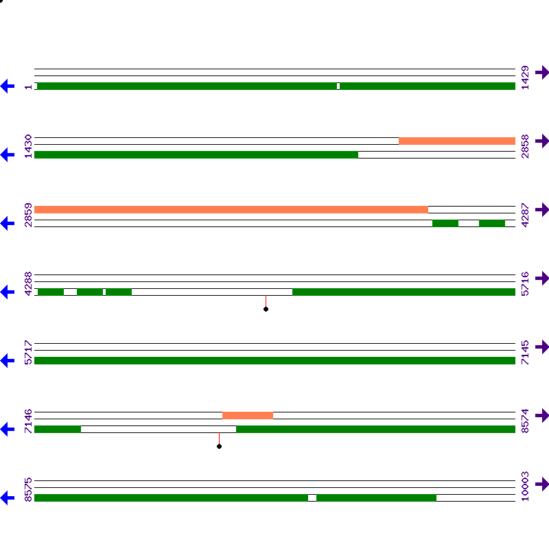 Genome View