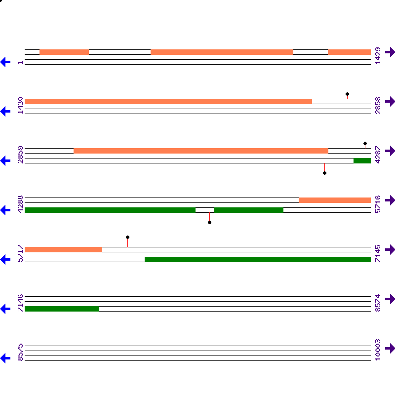 Genome View