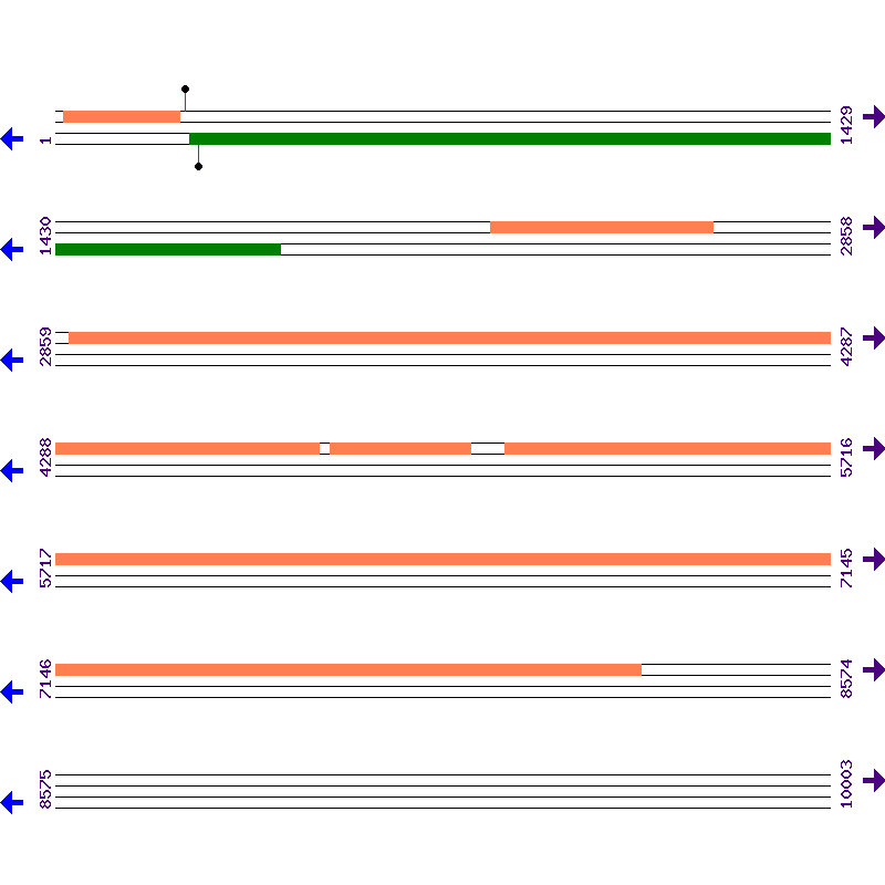 Genome View