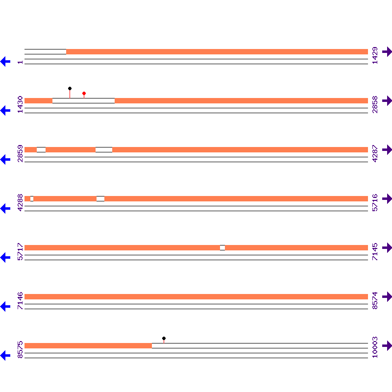 Genome View
