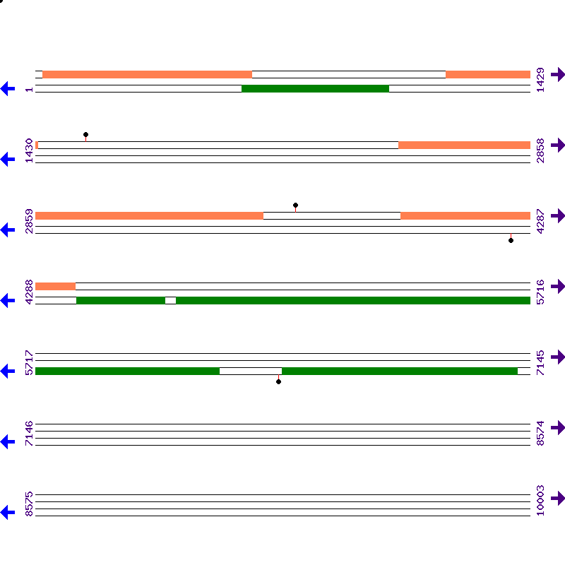 Genome View