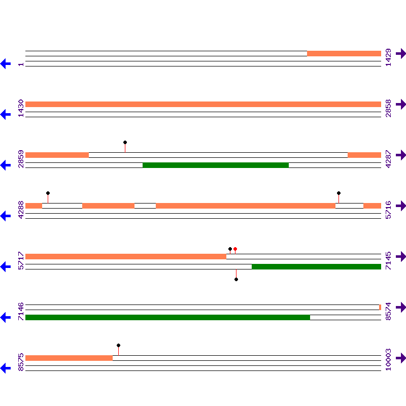 Genome View