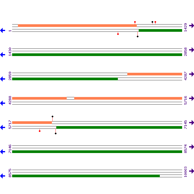 Genome View