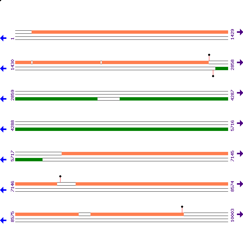 Genome View