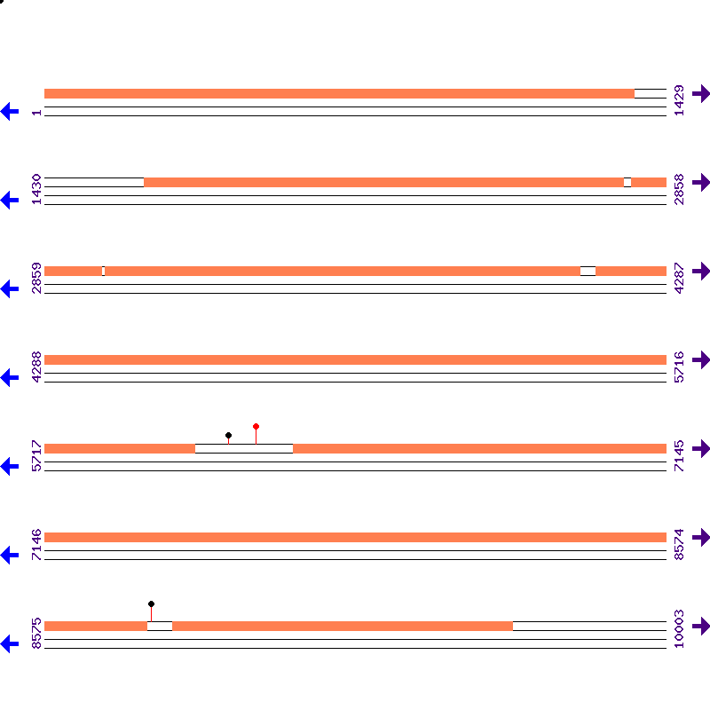 Genome View