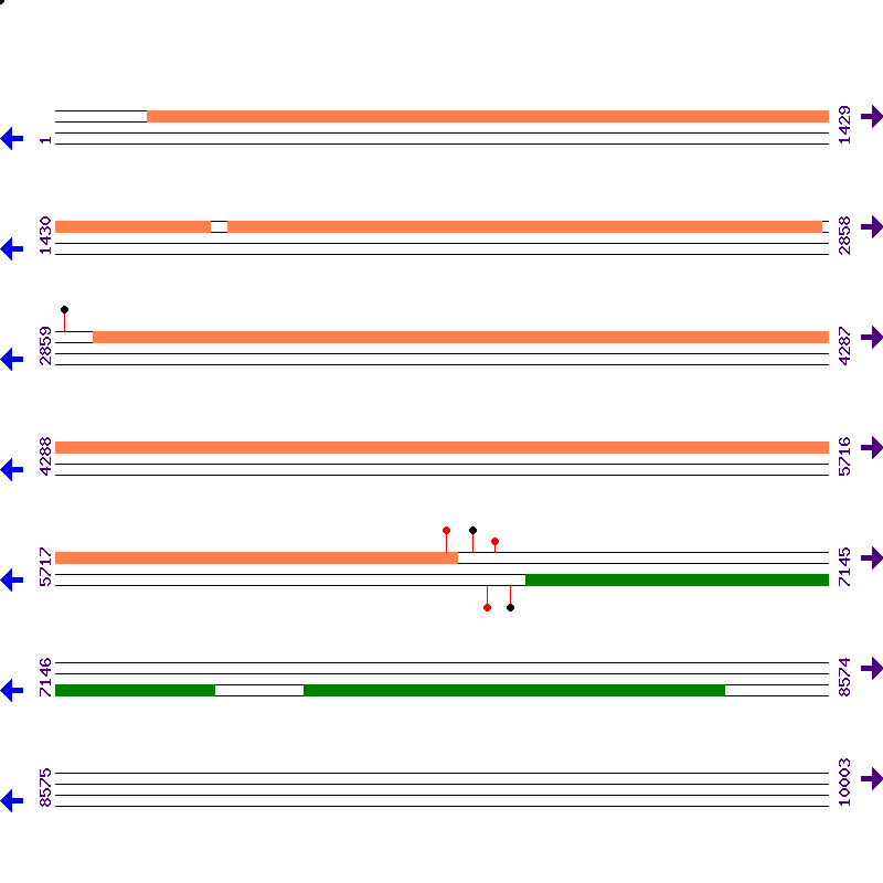 Genome View