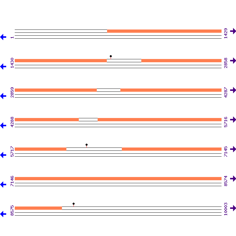 Genome View
