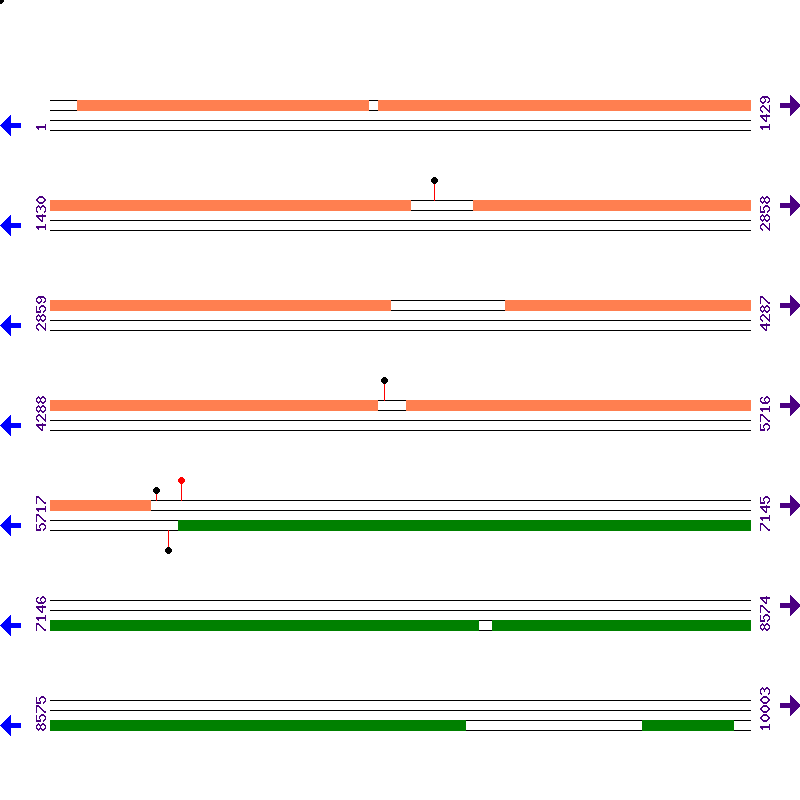 Genome View