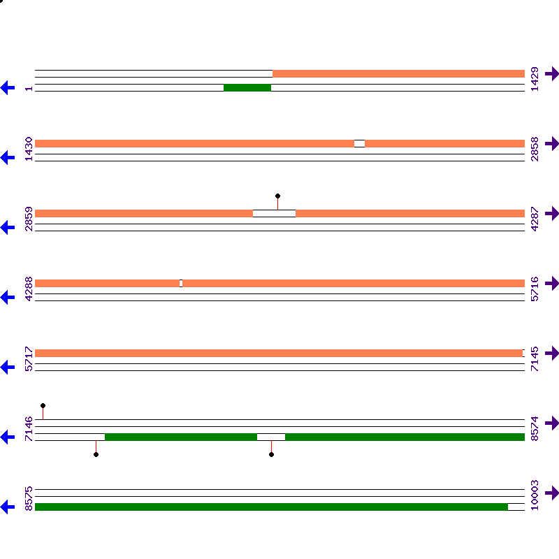 Genome View