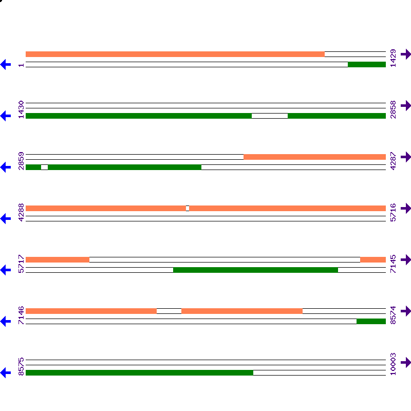 Genome View