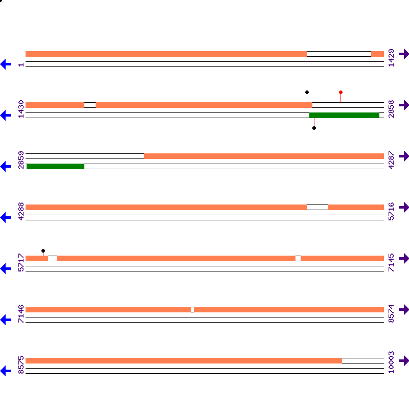 Genome View