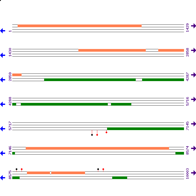 Genome View