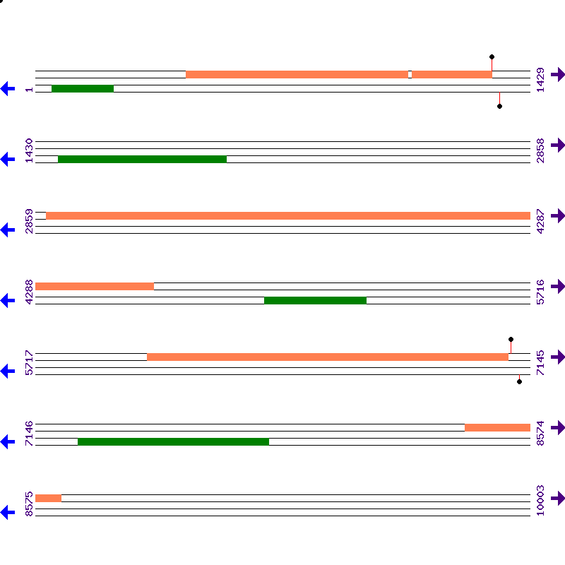 Genome View