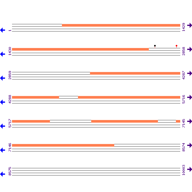 Genome View