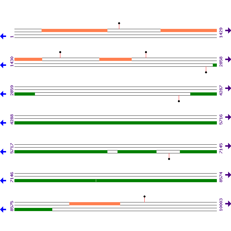 Genome View