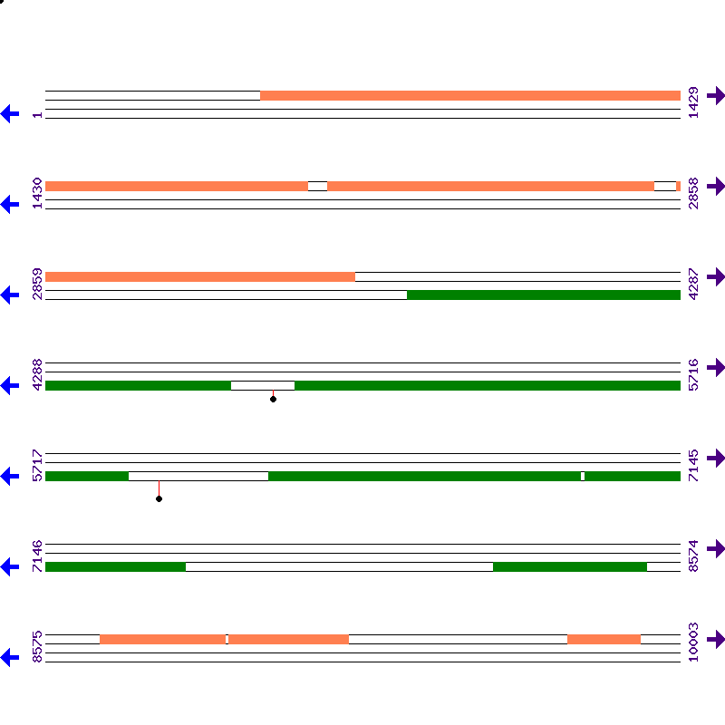 Genome View