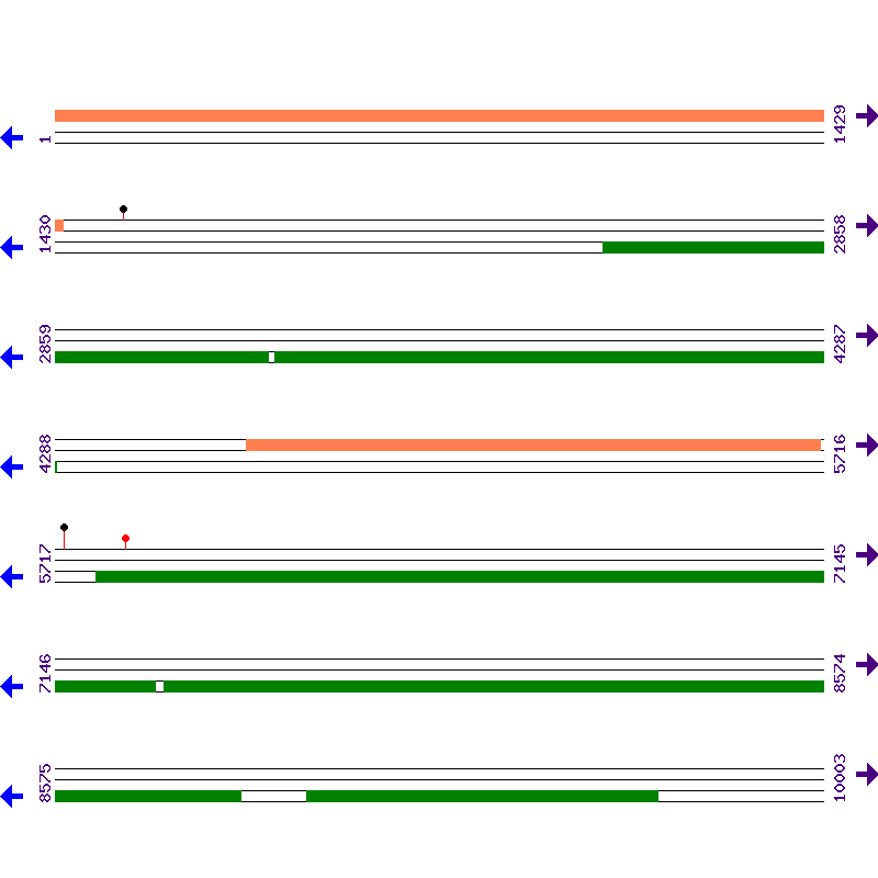 Genome View